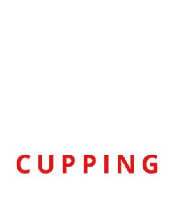 Cupping Middlesbrough