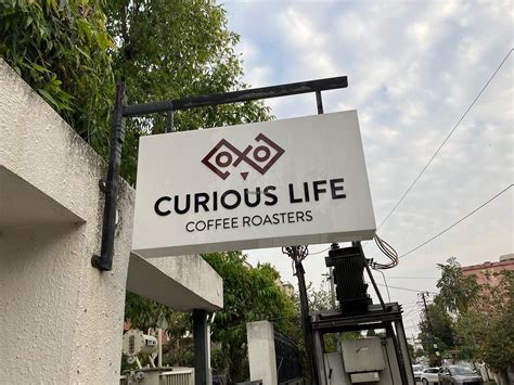 Curious Life Coffee Roasters: RED