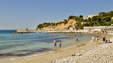 Cuspidienne à Carry-le-Rouet