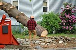 Cutting Down Tall Trees Near a House