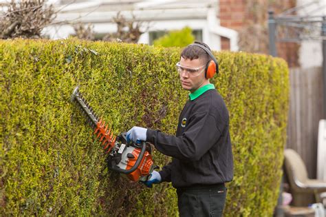 Cutting Hedge - Hedge Cutting Services