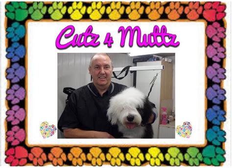 Cutz 4 k9s Dog grooming Services