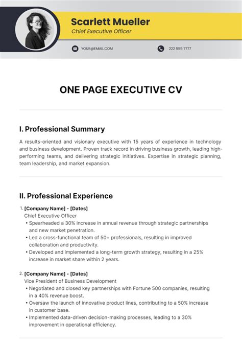 Cv Template For Executives