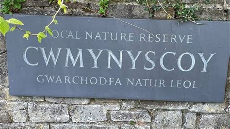 Cwmynyscoy Local Nature Reserve