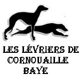 Cynodrome à Baye