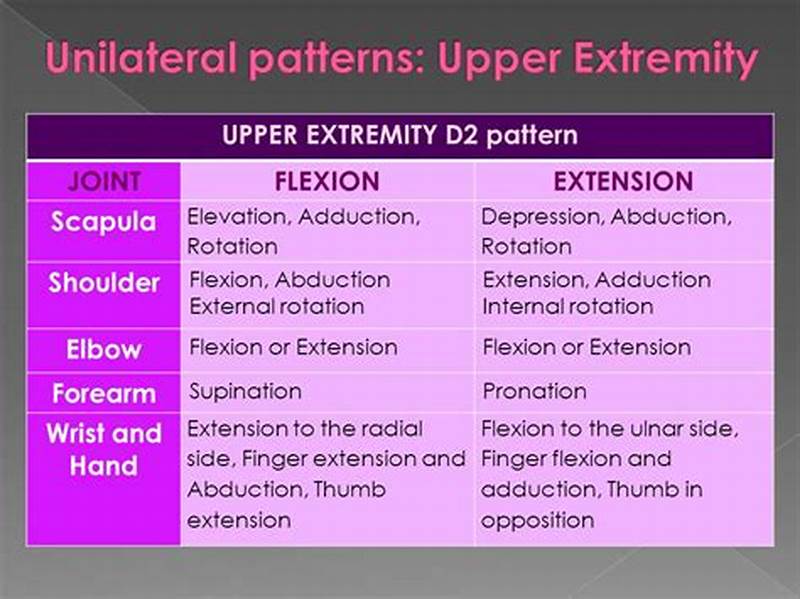 D2 Extension Pattern Upper Extremity