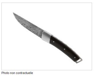 DAMAS à Saint-Brieuc