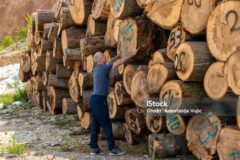 DBG Timber & Stone OÜ Vana-Tartu Maantee 18, Järveküla, Rae vald, 75304 Harju maakond