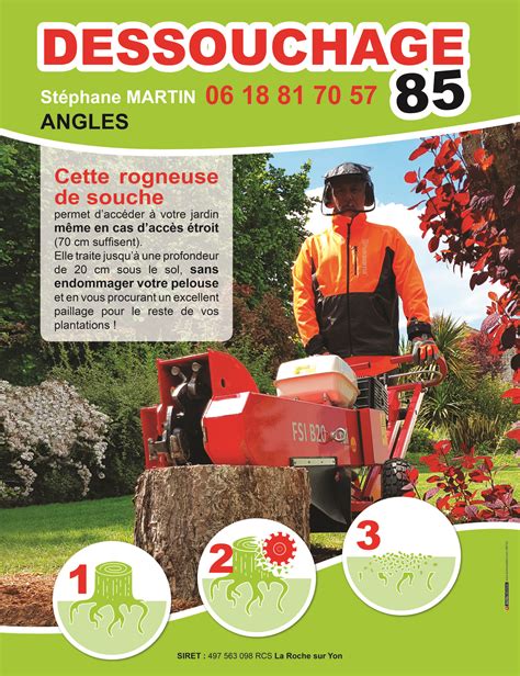 DESSOUCHAGE85 à Angles