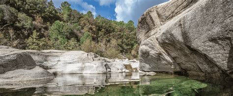 DFPP plaquiste à Zonza