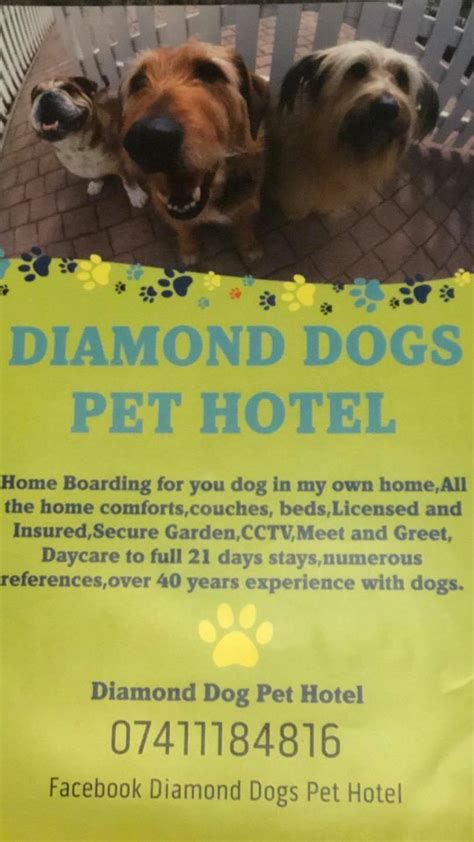DIAMOND DOGS PET HOTEL
