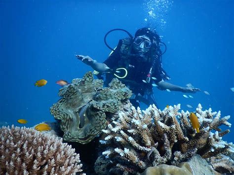 DIVE India Havelock - Best Scuba Diving in the Andamans