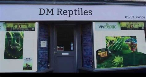 DM Reptiles