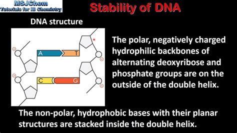 Methods of DNA stabilization