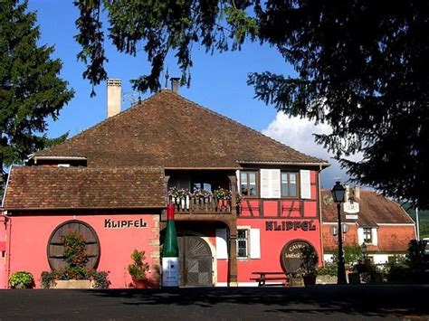 DOMAINE BACHERT à Barr