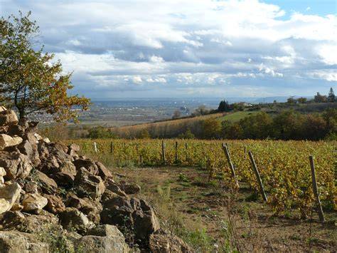 DOMAINE DES AMPHORES à Chavanay