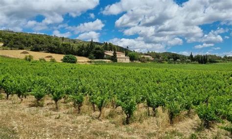 DOMAINE LA ROUVIOLE à Siran