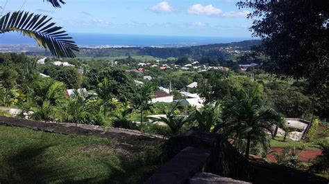 DOMETIS à Le Tampon