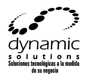 DYNAMIC SOLUTIONS à Fougueyrolles