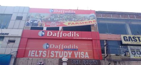 Daffodils Study Abroad Pvt.Ltd - Study Visa Consultant/Top Ielts Coaching Institutes/Immigration& Educational