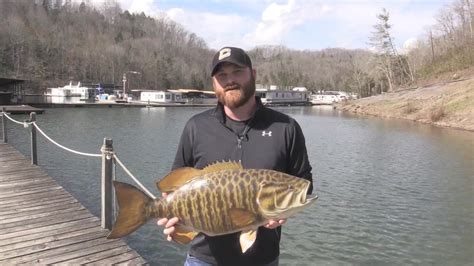 Best Season to Fish in Dale Hollow Lake