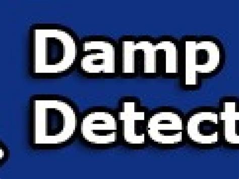 Damp Detectives Liverpool