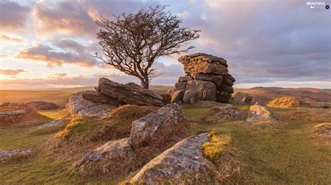 Dartmoor Landscapes