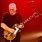 David Gilmour Les Paul