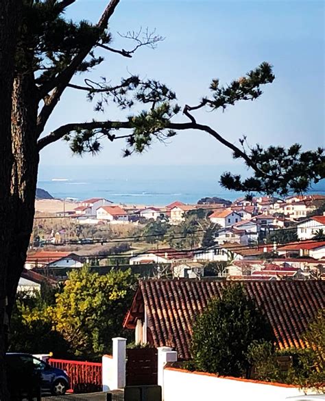 David Pingeot à Anglet