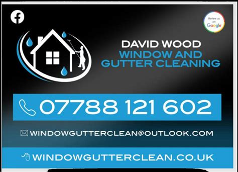 David Wood Window And gutter cleaning