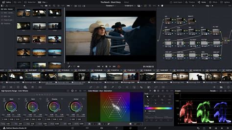 Davinci Resolve Motion Graphics Templates