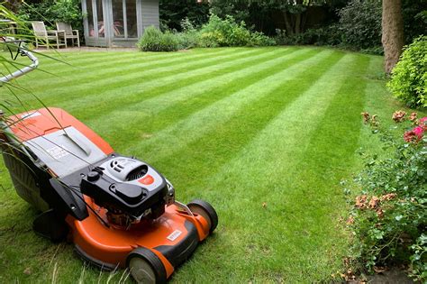 Dcs Home and Garden Maintenance - Handyman