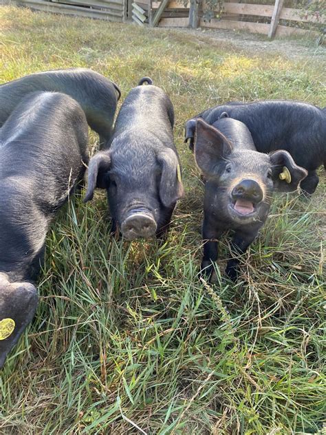 De Larroche à Lasserrade