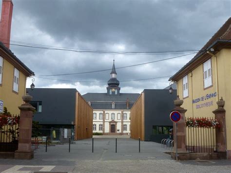 Decarpigny Flore à Brumath