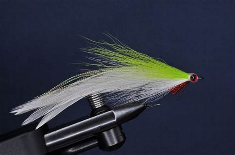 Deceiver Fly Pattern