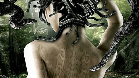 Deep in the Jungle (2008) film online, Deep in the Jungle (2008) eesti film, Deep in the Jungle (2008) full movie, Deep in the Jungle (2008) imdb, Deep in the Jungle (2008) putlocker, Deep in the Jungle (2008) watch movies online,Deep in the Jungle (2008) popcorn time, Deep in the Jungle (2008) youtube download, Deep in the Jungle (2008) torrent download
