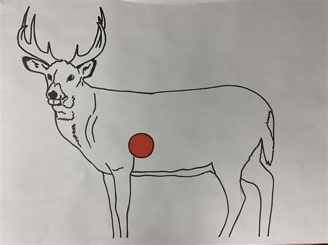 Deer Target Paper Printable