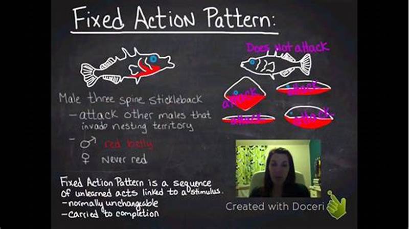 Define Fixed Action Pattern