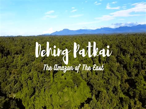 Dehing Patkai National Park