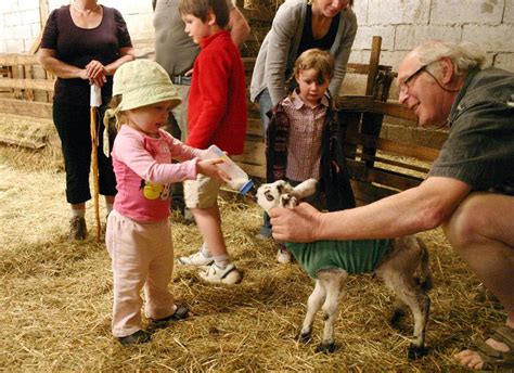 Demarest Luc à Savigny