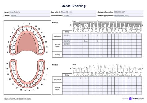 Dental Charting Template