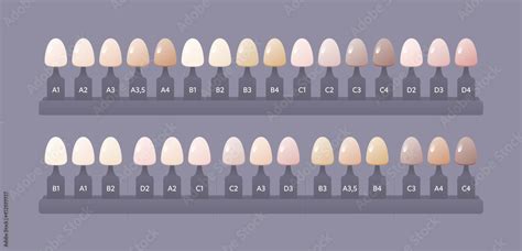 Dental Tooth Shade Chart
