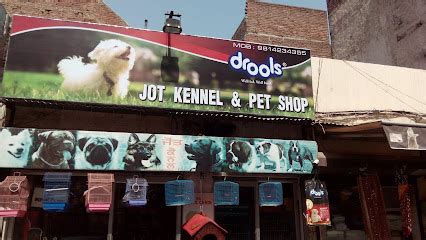 Deol Kennel - a house of Quality Toy Poms