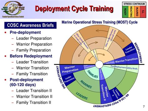 Training Cycle