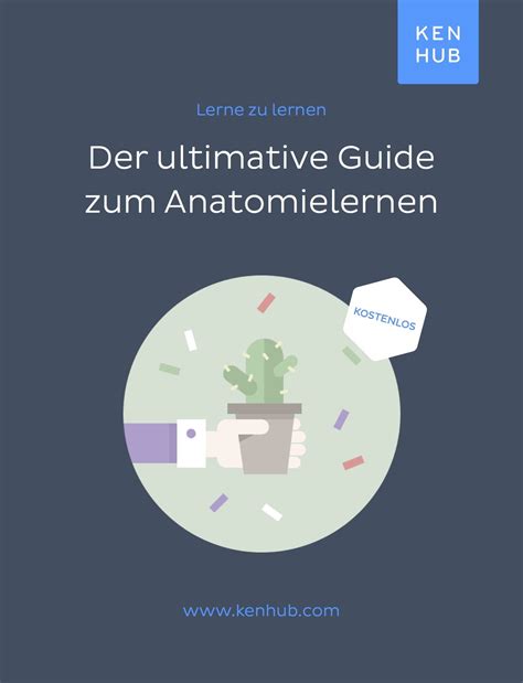 download Der ultimative Guide zum Anatomie lernen