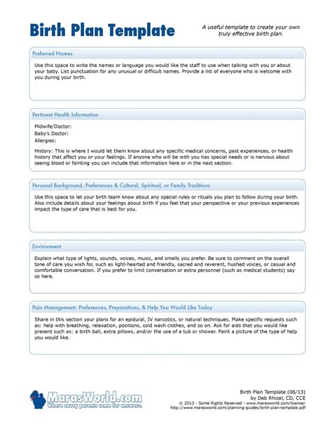 Detailed Birth Plan Template