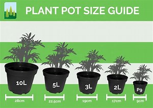 Determining the Size of Your Garden