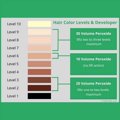 Developer Hair Chart