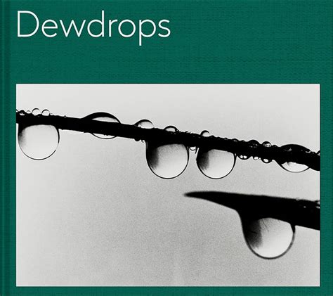 download Dewdrops