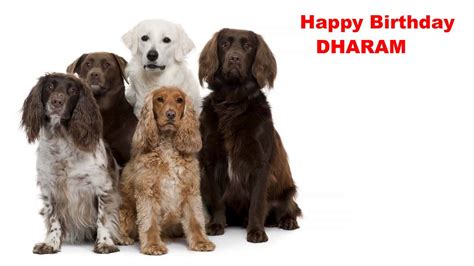 Dharam Dog Farm